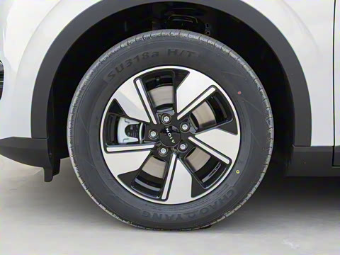 2025�� 420�Ǻ���