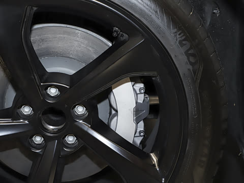 2025�� ����������