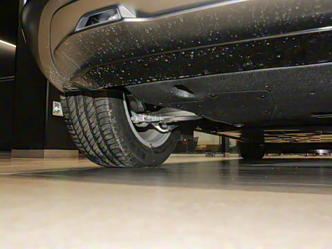 2024�� ˫�������������