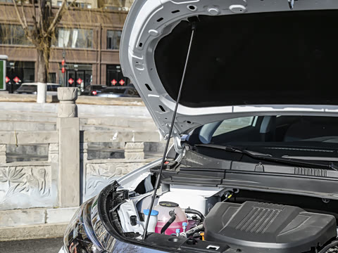 2025�� ��Խ�� 1.6TD DCT����PRO 7��