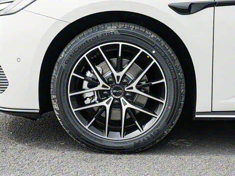 2025�� �Ǽݰ� DM-i 1.5L 125km �����