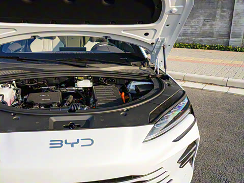 2025�� DM-i �Ǽݰ� 112KM �����