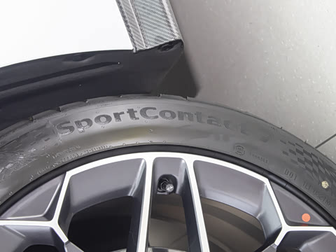 2025�� EV ����������