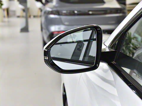 2025�� 636Max���Ȱ� 6��