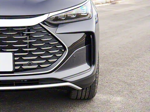 2025�� �Ǽݰ� DM-i 115KM ������