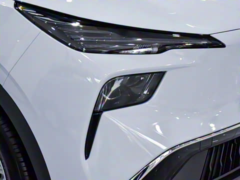 2025�� 445km ��ѡ��