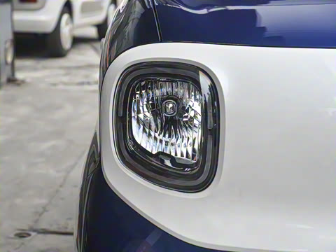 2025�� 222km ������