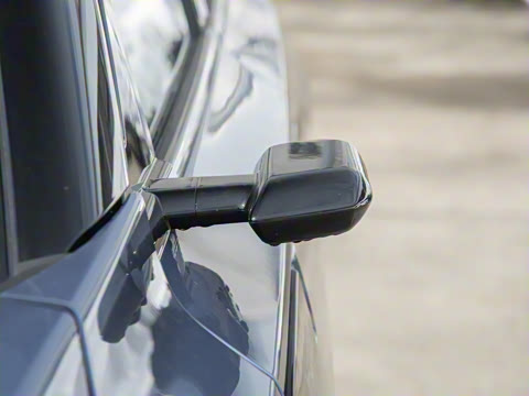 2025�� ����������Max