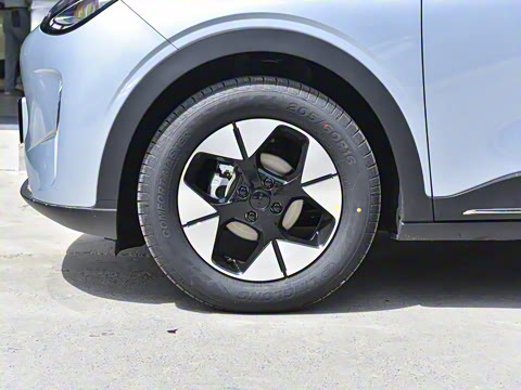 2025�� 310km �����