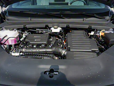 2025�� DM-i 170�캽Pro��