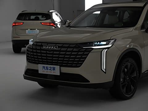 2024�� 2.0T ����Max