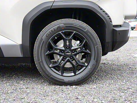 2025�� 501KM ����Max��