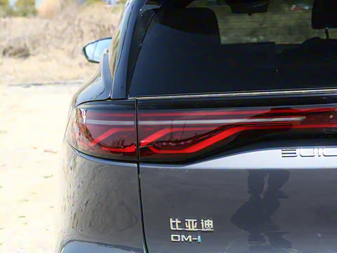 2025�� �Ǽݰ� DM-i 115KM �콢��