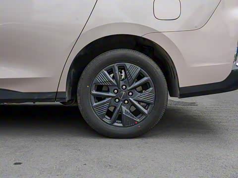 2025�� �캽��