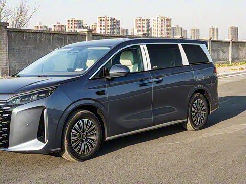 2025�� DM-i 1.5T 180km ��Խ��