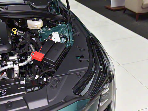 2025�� 28T �������ܰ�