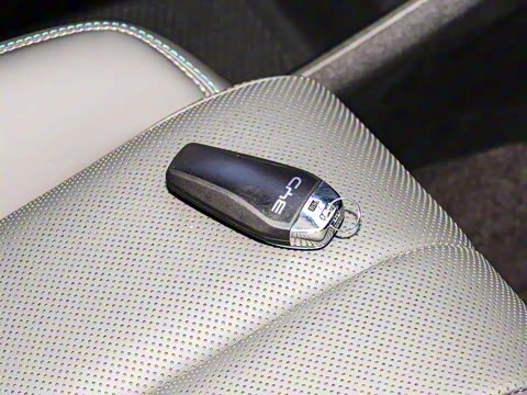 2025�� �ڶ��� �Ǽݰ� DM-i 115KM��Խ��