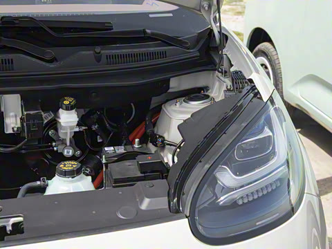 2025�� 333km ������