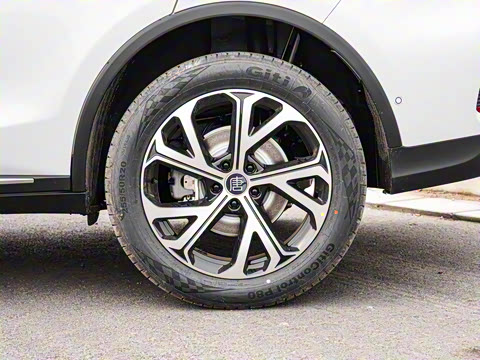 2025�� �Ǽݰ� DM-i 115KM ������