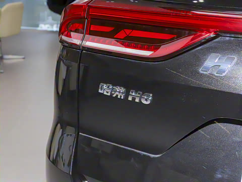 2023�� ������ 1.5T �Զ��ھ���