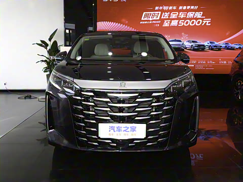 2025�� DM-i 1.5T 180km ��Խ��