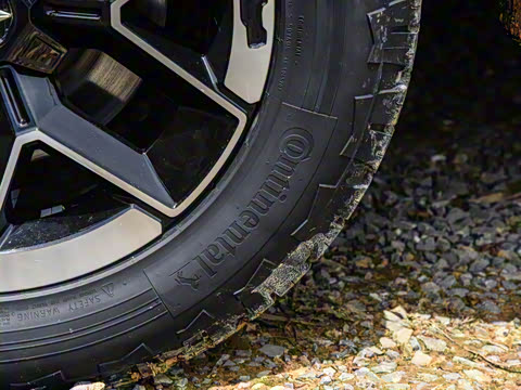 2024�� ����������