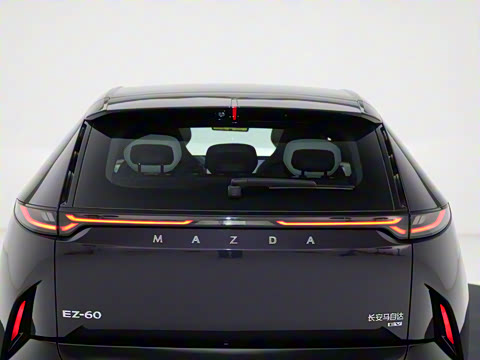 2025�� ����600 Max