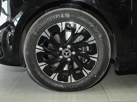 2025�� �������������