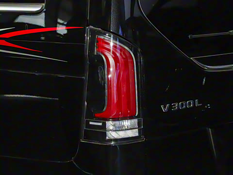 2025�� �������������