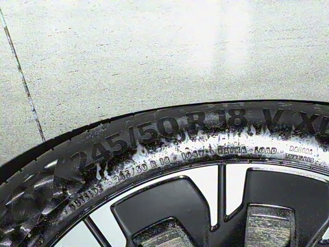 2025�� �����������վ�