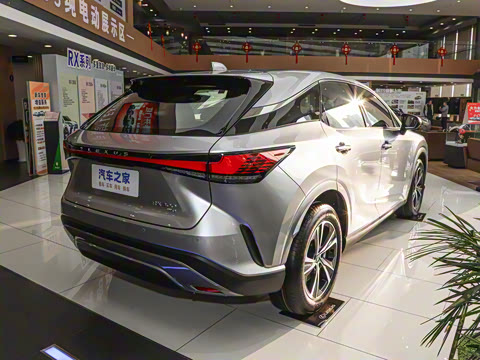 2025�� 300 ����������