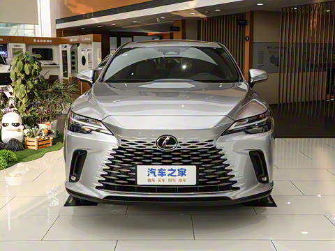 2025�� 300 ����������