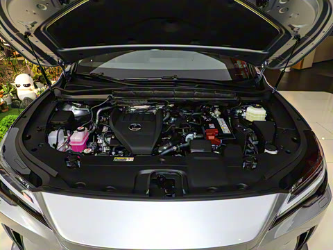 2025�� 300 ����������