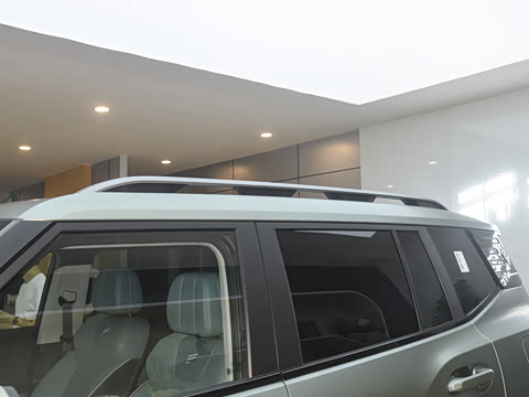 2025�� 2.0TD ��Խ