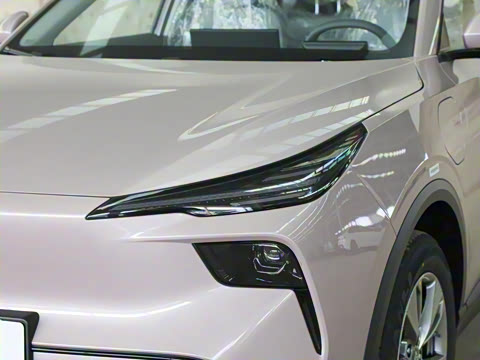 2025�� 445km ���ð�