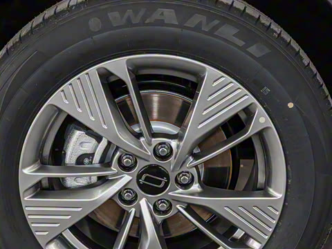 2025�� 445km ���ð�