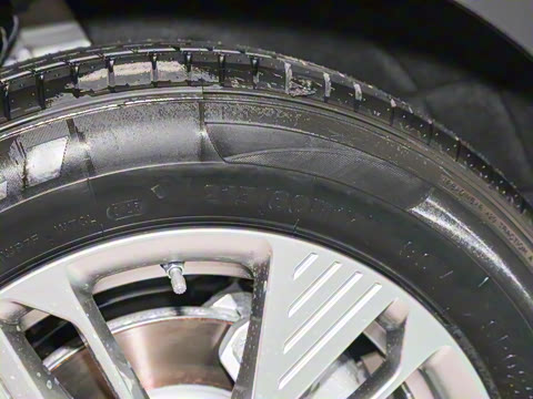 2025�� 445km ���ð�