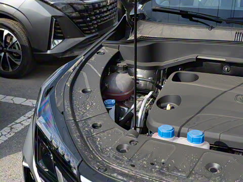 2025�� �ǻ������� 125km ս����