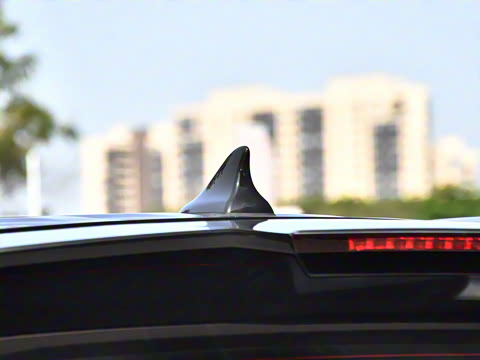 2024�� ���˰� 5��