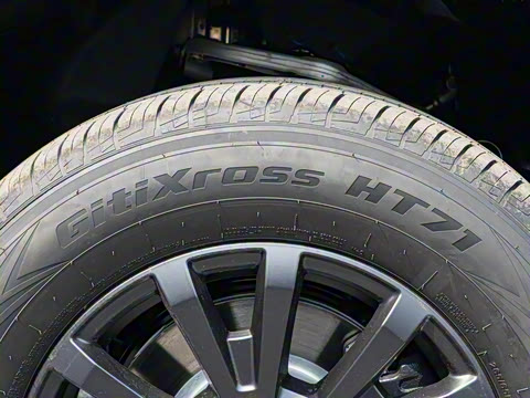 2025�� �����Ǽ�Max��