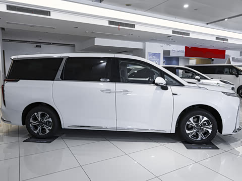 2025�� 2.0T �Ǻ�������