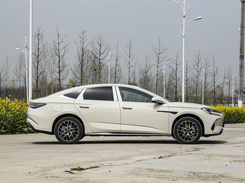 2025�� �Ǽݰ� DM-i 1.5T 125km �콢��