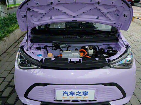 2026�� Mate 305km ����̤�˰�