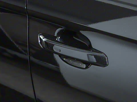 2024�� RS 5 2.9T Sportback ȼ���