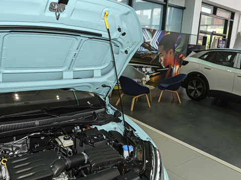 2025�� ���� 1.5L ������Ը��