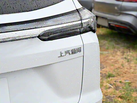 2025�� ������Plus ����Avenir��ά��