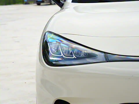 2026�� �鶯��������