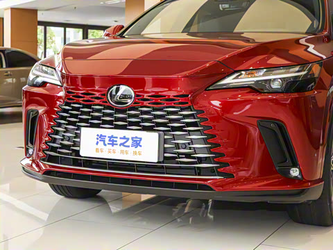 2025�� 300 ����������