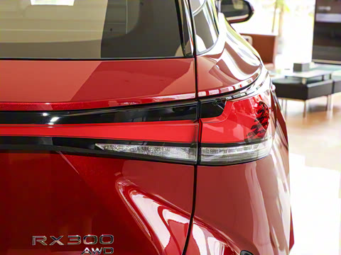 2025�� 300 ����������