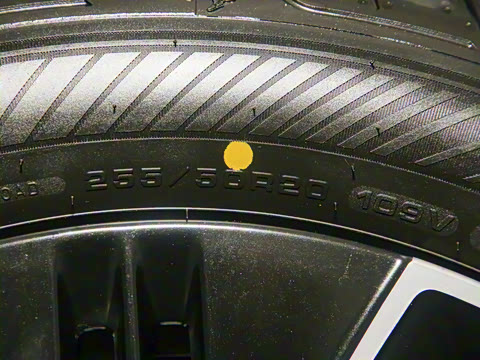 2025�� 725 �������� Max